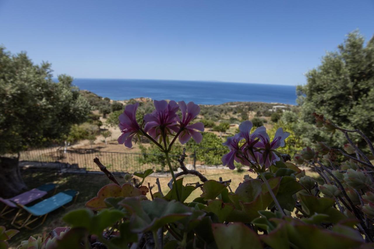 Manolis' House Βίλα Αγία Παρασκευή Εξωτερικό φωτογραφία
